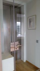 The Peak @ Cairnhill II (D9), Apartment #272093571